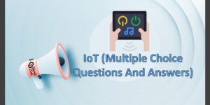 Multiple Choice Quiz